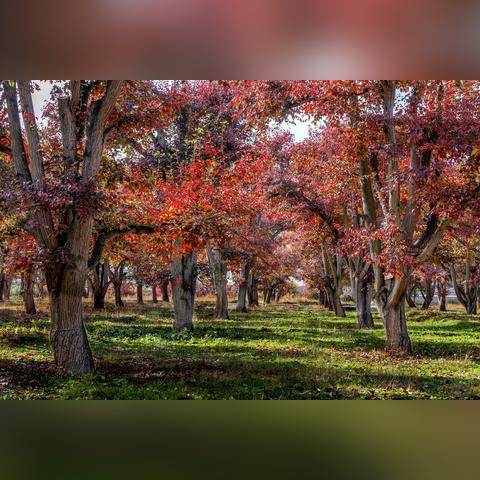 兰州周边有适合带小孩去的地方吗？