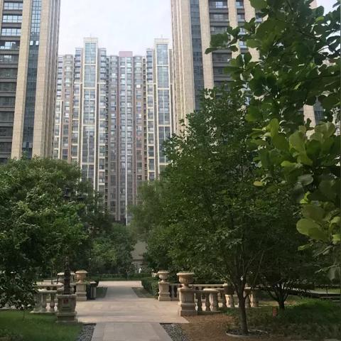 石家庄市房价为什么高