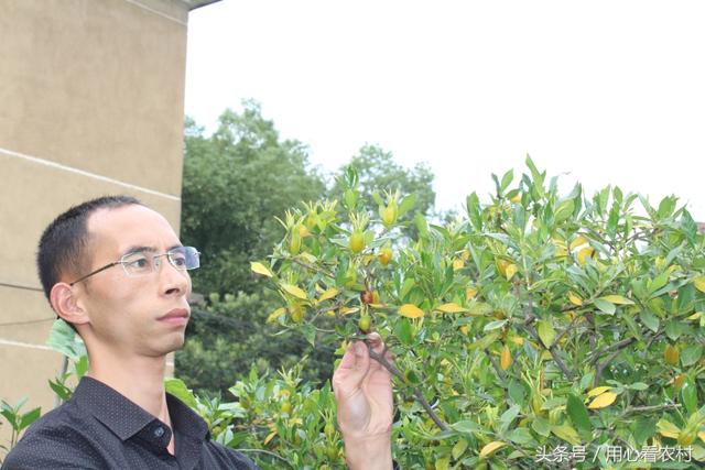2017夏天宝宝喝什么水