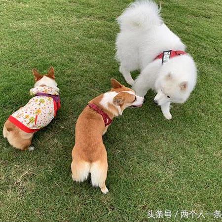 为什么福建春节都下雨