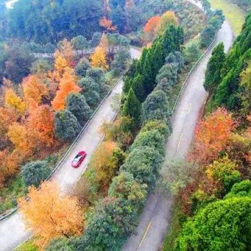 宁波到山门的相关长尾关键词有哪些