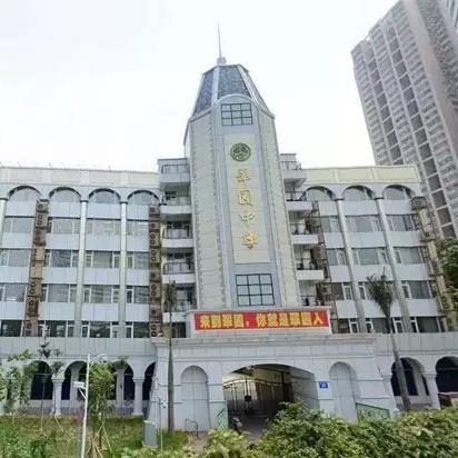 深圳市哪个区排名最好的