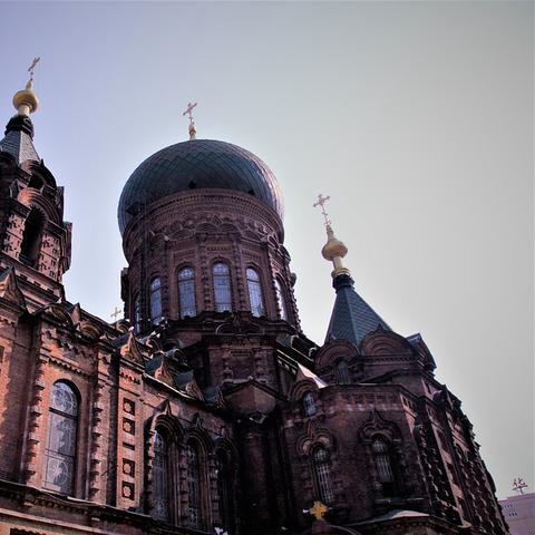 哈尔滨市城区人口相关长尾关键词有哪些