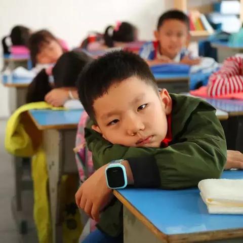 深圳市哪个区的学生最多