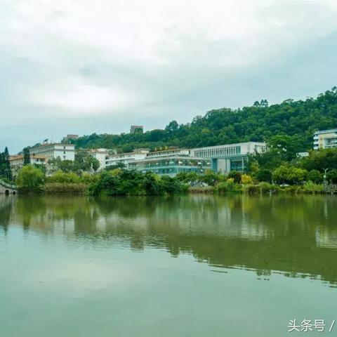 福建农林大学观音湖的相关长尾关键词有哪些