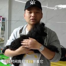 济南市宠物超市在哪里啊
