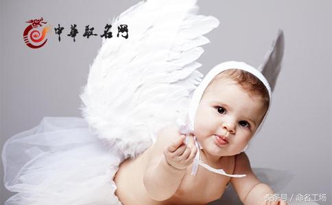 猪年宝宝起名叫什么好听（mc昵称推荐）