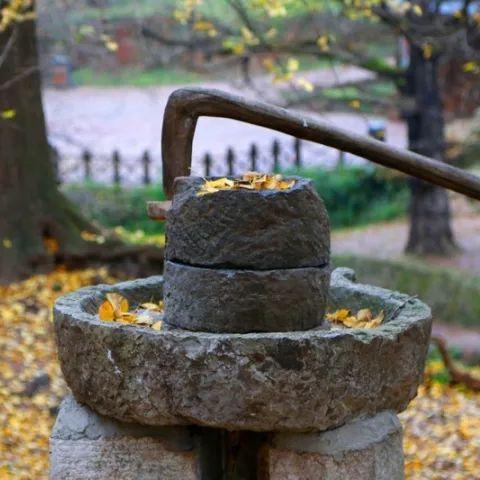西安寺庙千年银杏的相关长尾关键词有哪些