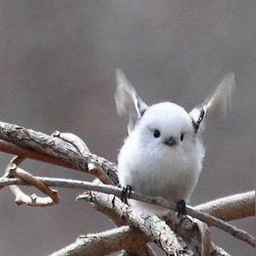 香蕉皮网站推荐长尾关键词集合