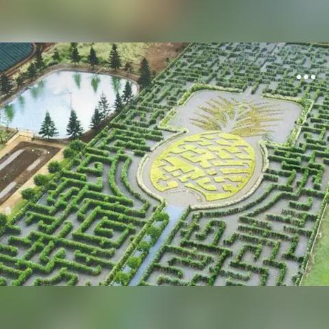 【夏威夷旅游攻略,夏威夷旅游攻略必去景点】