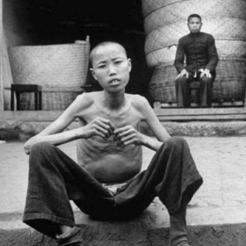 河南女怎么样