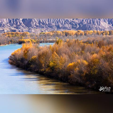 南通青海大桥在哪相关长尾关键词有哪些