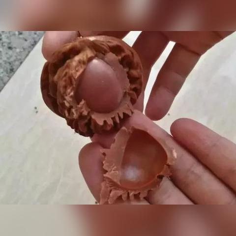 苏州常熟市玉石文玩拍摄的长尾关键词有哪些