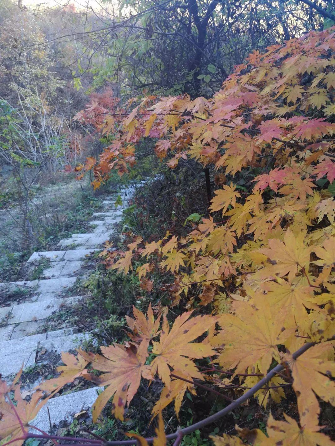 集安必去的五个景点排行榜