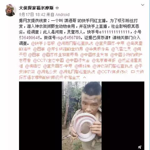 河南鹤壁蛇的相关长尾关键词有哪些