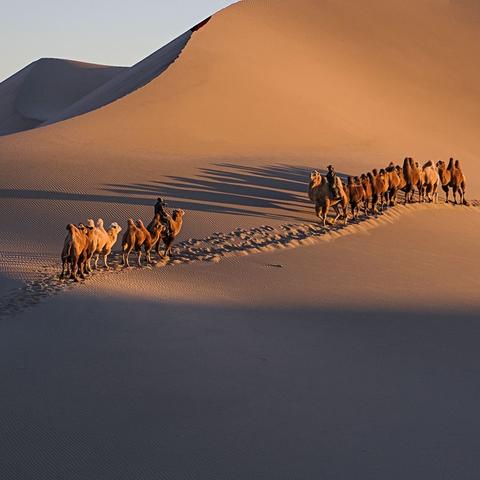 ：长沙市雨花区体育馆附近出口苹果电子产品的公司有几家？