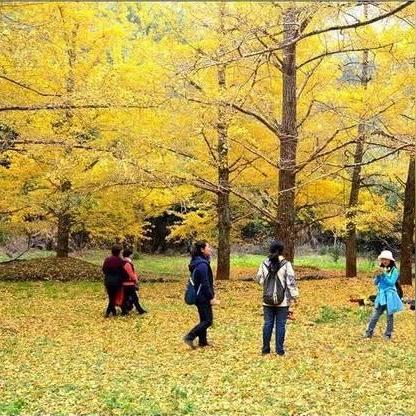 从佛山怎么到桂林相关长尾关键词有哪些