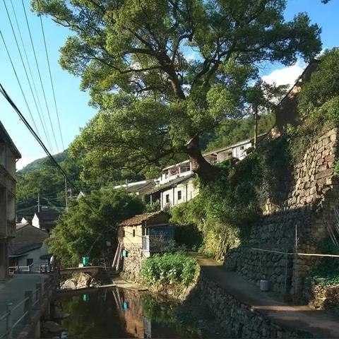 宁波市哪个小镇人最多