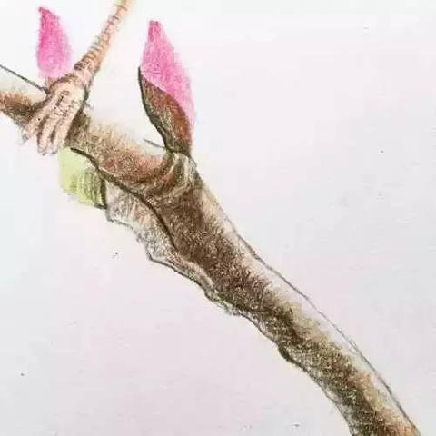 石家庄市绘画村的长尾关键词有什么