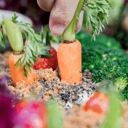 宁波市开心抖音公司怎么样