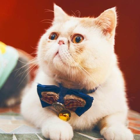 津桥外语 广州相关长尾关键词有哪些