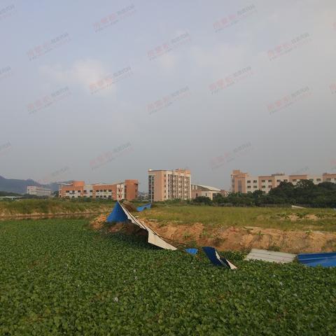 广东东莞市虎门镇南面村的长尾关键词有哪些