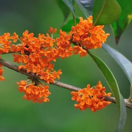 兰州常山寺的相关长尾关键词有哪些