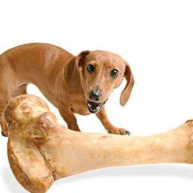 河南有什么高原？