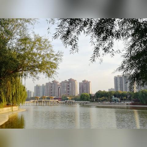 石家庄市哪个公园风景好