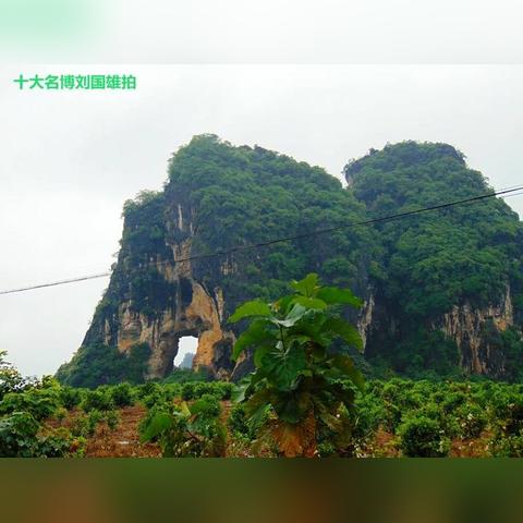 桂林市什么医院要检验