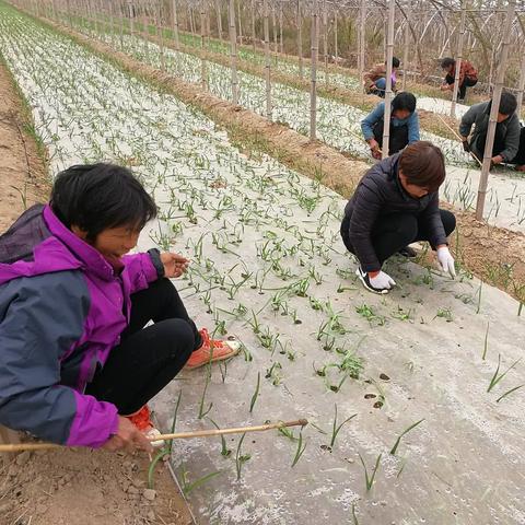 菏泽市明天天气怎么样