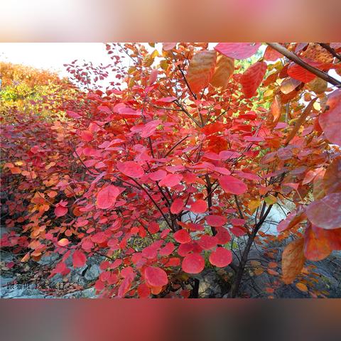 济南市英雄山哪个区