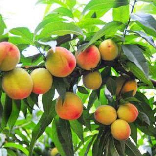 合肥市东边是哪个市