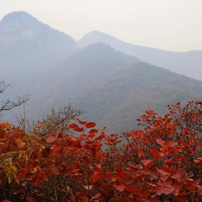 南岳衡山顶天气怎么样