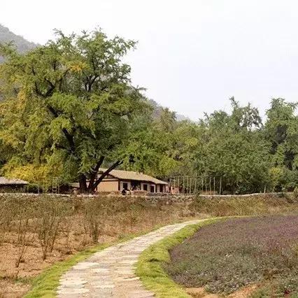 [苏州趣色谷]相关长尾关键词有哪些