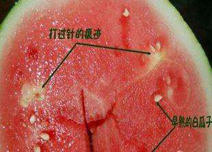 吃西瓜的幽默心情说说