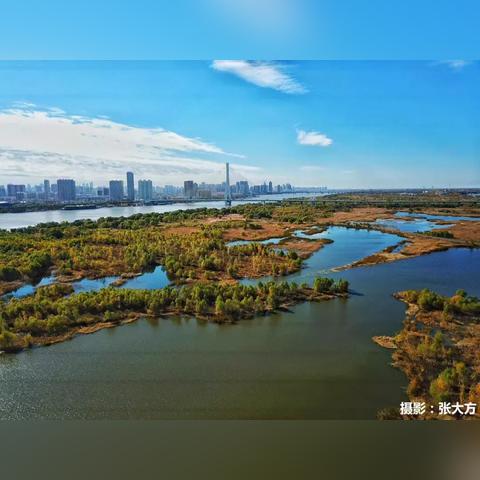 哈尔滨市多少平方千米