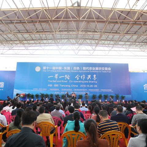 南宁东盟开发区可以坐什么车到百色？