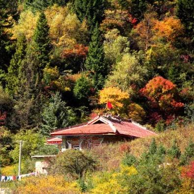 四川成都市最美地方是哪里