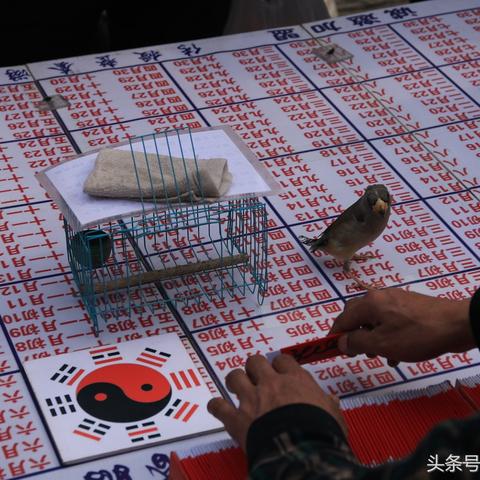 潍坊市哪里算命很准