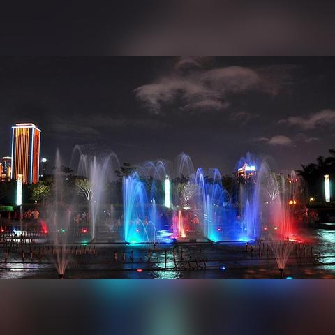 厦门市鸟为什么叫白鹭