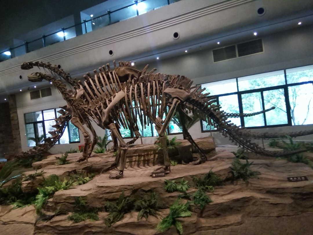 广州恐龙博物馆在哪里
