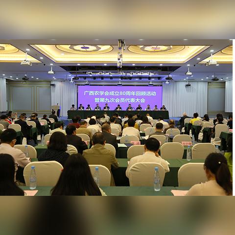南宁市第九中学好吗的相关长尾关键词有哪些