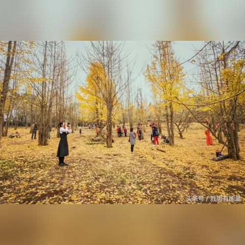 广州市什么情况下变黄码