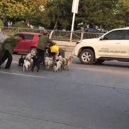 沈阳铁西收废品电话相关长尾关键词有哪些