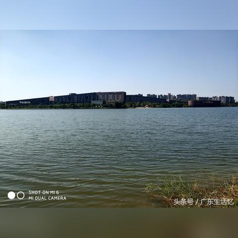 东莞市跑滴滴在哪里租车