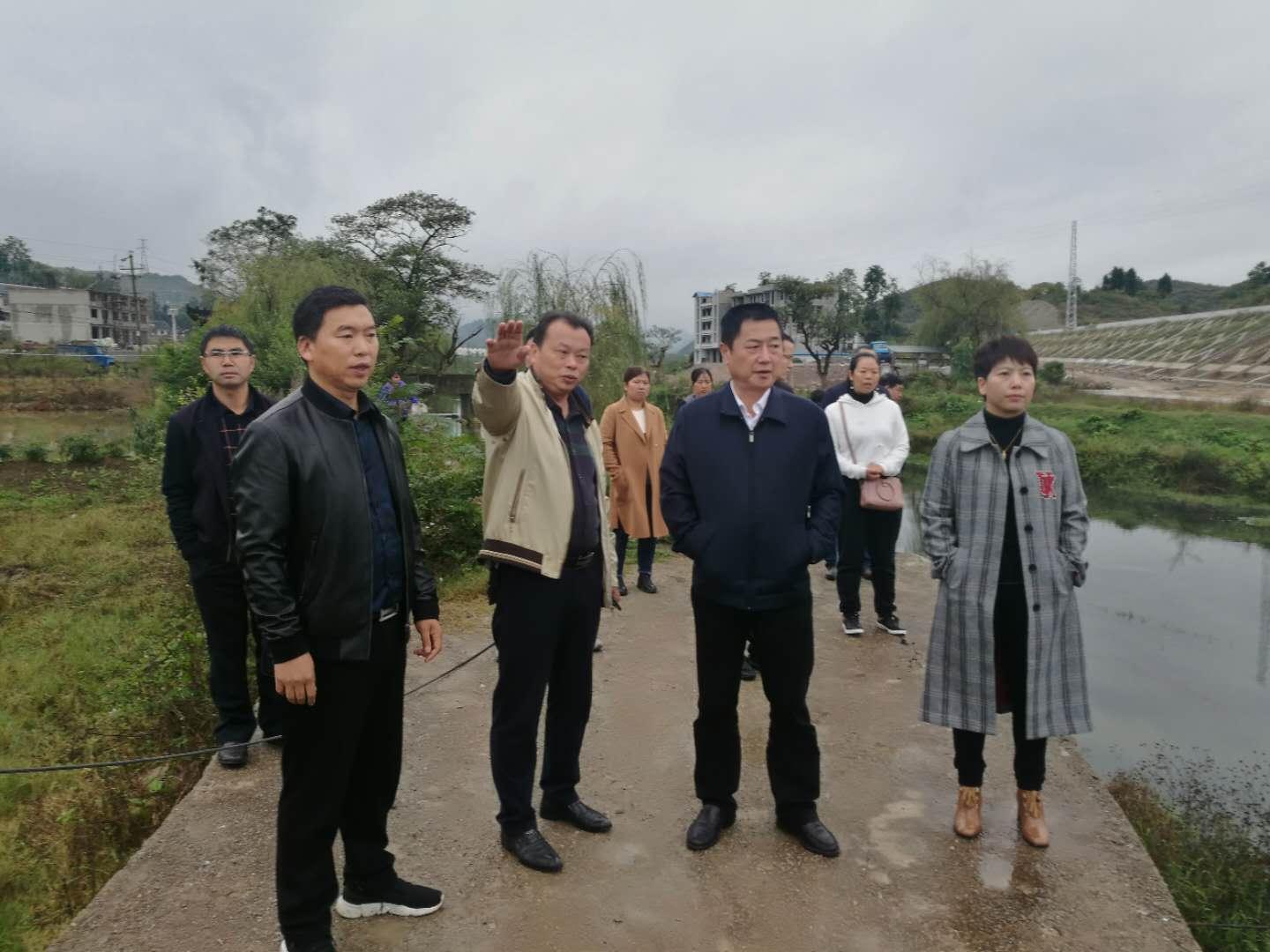 八字三合遇冲，机遇为何转瞬成空