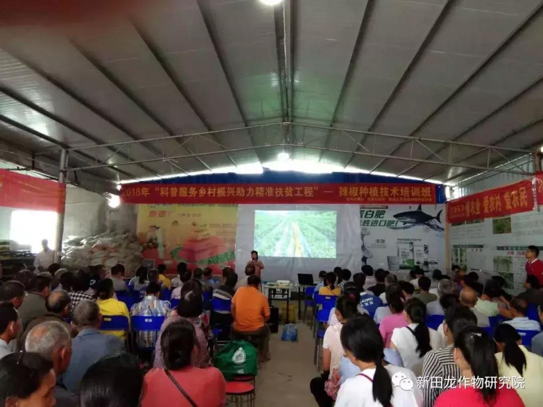 柑橘栽培技术培训考试题及答案详解视频（我国柑橘繁殖技术有哪些变化）