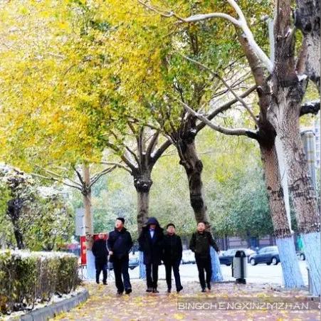 1月份哈尔滨下雪吗相关长尾关键词有哪些