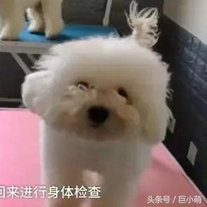 济南市哪个高中不减头发